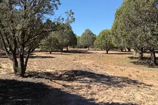 939 Mountain Trail, Show Low, AZ 85901 - Photo 30