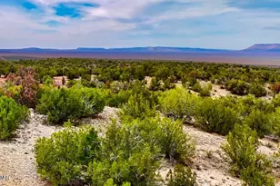 31326 Calle Barril, Seligman, AZ 86337 - Photo 1