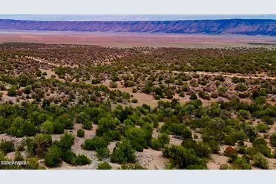 31326 Calle Barril, Seligman, AZ 86337 - Photo 6