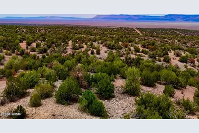 31326 Calle Barril, Seligman, AZ 86337 - Photo 12