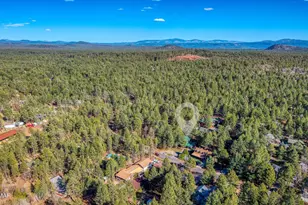5301 Saddle Strap Way, Pinetop, AZ 85935 - Photo 28