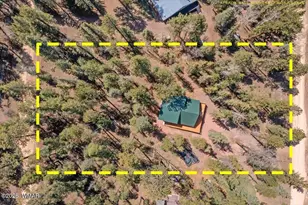 6 County Rd 2042, Alpine, AZ 85920 - Photo 24