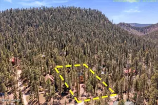 6 County Rd 2042, Alpine, AZ 85920 - Photo 28