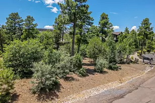 6038 Orion, Lakeside, AZ 85929 - Photo 92