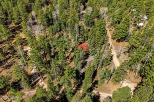 8 Co Rd 1006, Greer, AZ 85927 - Photo 24