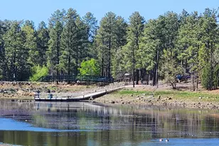 2700 S Woodland Hills Ln, Pinetop, AZ 85935 - Photo 32