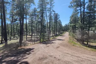 2700 S Woodland Hills Ln, Pinetop, AZ 85935 - Photo 26