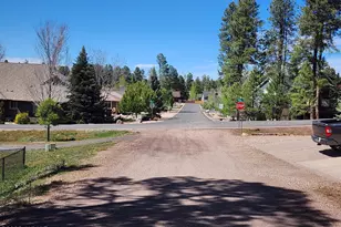 2700 S Woodland Hills Ln, Pinetop, AZ 85935 - Photo 30