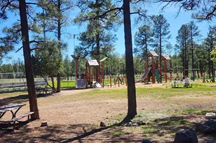2700 S Woodland Hills Ln, Pinetop, AZ 85935 - Photo 34