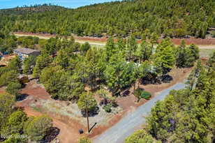 86 Bear Hunter Rd, Lakeside, AZ 85929 - Photo 30