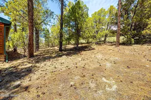 86 Bear Hunter Rd, Lakeside, AZ 85929 - Photo 24