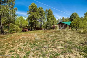 1320 Elk Dr, Forest Lakes, AZ 85931 - Photo 30