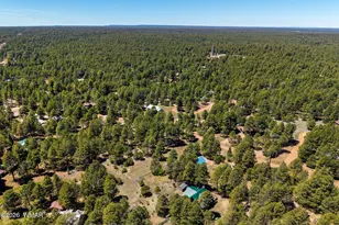 1320 Elk Dr, Forest Lakes, AZ 85931 - Photo 42