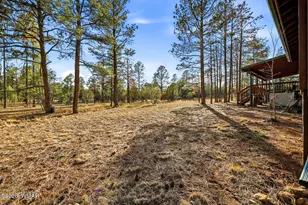 2233 Del Rio Cir, Overgaard, AZ 85933 - Photo 42