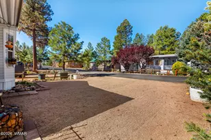 2725 Whiskey Rd, Overgaard, AZ 85933 - Photo 6