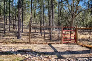 739 W Woodland Lake Rd, Lakeside, AZ 85929 - Photo 42