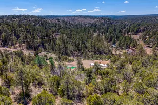 1740 Eskimo Ln, Heber, AZ 85928 - Photo 6