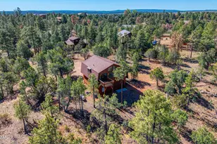 2836 Homestead Dr, Overgaard, AZ 85933 - Photo 2
