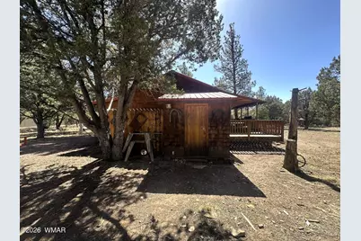 5 County Road 2031 (Pine Lane), Nutrioso, AZ 85932 - Photo 32