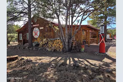 5 County Road 2031 (Pine Lane), Nutrioso, AZ 85932 - Photo 44