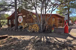 5 County Road 2031 (Pine Lane), Nutrioso, AZ 85932 - Photo 44