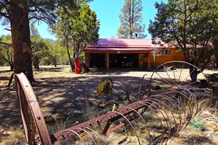 5 County Road 2031 (Pine Lane), Nutrioso, AZ 85932 - Photo 42