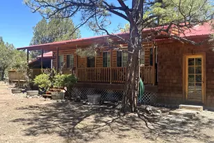 5 County Road 2031 (Pine Lane), Nutrioso, AZ 85932 - Photo 34