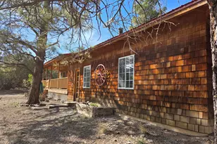 5 County Road 2031 (Pine Lane), Nutrioso, AZ 85932 - Photo 42