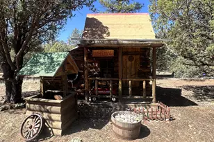 5 County Road 2031 (Pine Lane), Nutrioso, AZ 85932 - Photo 26