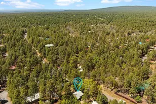 5801 Apache Trail, Pinetop, AZ 85935 - Photo 38