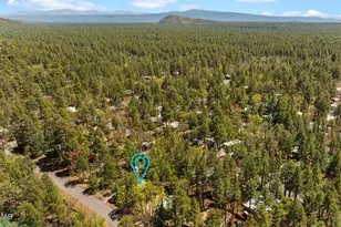 5801 Apache Trail, Pinetop, AZ 85935 - Photo 40