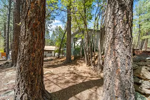 5801 Apache Trail, Pinetop, AZ 85935 - Photo 20