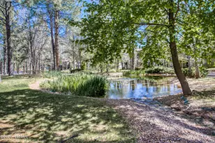 3744 Crown Dancer Dr, Pinetop, AZ 85935 - Photo 10