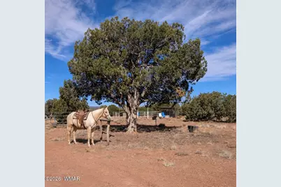 61 Blue Diamond Acr 5525, Concho, AZ 85924 - Photo 34