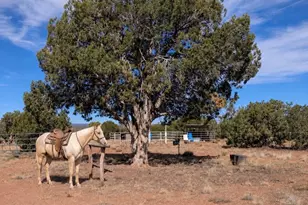 61 Blue Diamond Acr 5525, Concho, AZ 85924 - Photo 34
