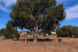 61 Blue Diamond Acr 5525, Concho, AZ 85924 - Photo 40