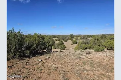 1725 McAllister Avenue, Heber, AZ 85928 - Photo 2