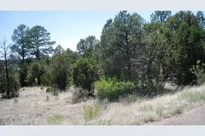 [Address not provided], Overgaard, AZ 85933 - Photo 4