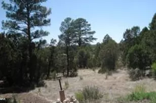 [Address not provided], Overgaard, AZ 85933 - Photo 1