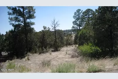 [Address not provided], Overgaard, AZ 85933 - Photo 2