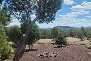 10 N3164, Vernon, AZ 85940 - Photo 12