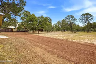 3072 Chevelon Rd, Overgaard, AZ 85933 - Photo 40