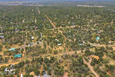 3072 Chevelon Road, Overgaard, AZ 85933 - Photo 42