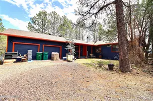 911 S 11th St, Show Low, AZ 85901 - Photo 18
