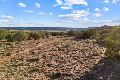 77 Cr N8604, Concho, AZ 85924 - Photo 42