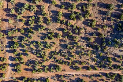 77 Cr N8604, Concho, AZ 85924 - Photo 34