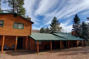 Cabin 82 Main St, Greer, AZ 85927 - Photo 2