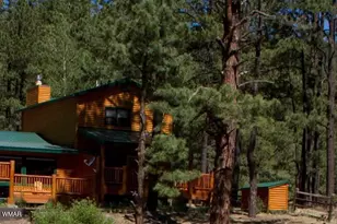 Cabin 83 Main St, Greer, AZ 85927 - Photo 2
