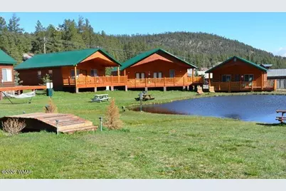 Cabin 283 Main Street, Greer, AZ 85927 - Photo 1