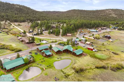 Cabin 285 Main Street, Greer, AZ 85927 - Photo 4